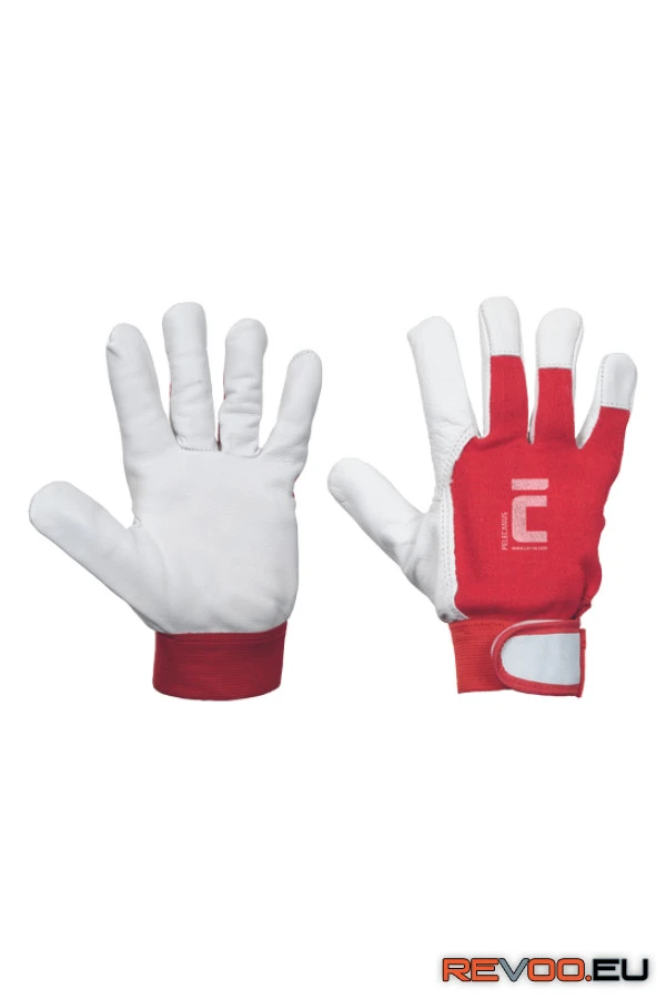 Pelecanus kesztyű   Cerva c01010100 2.