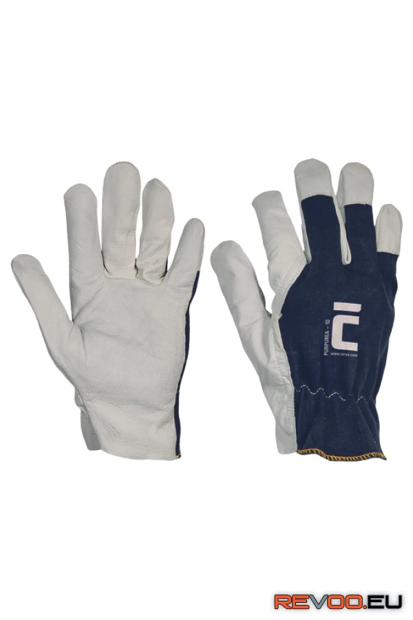 Purpurea kesztyű   Cerva c01010101 1.