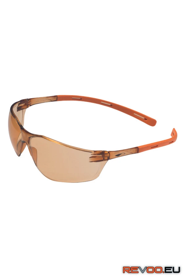 Rigi AS védőszemüveg JSP c05010627 4.