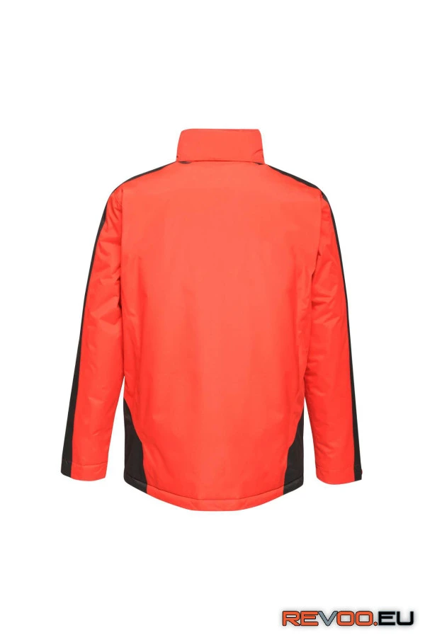 Kontrasztos kabát Regatta RETRA312 4.