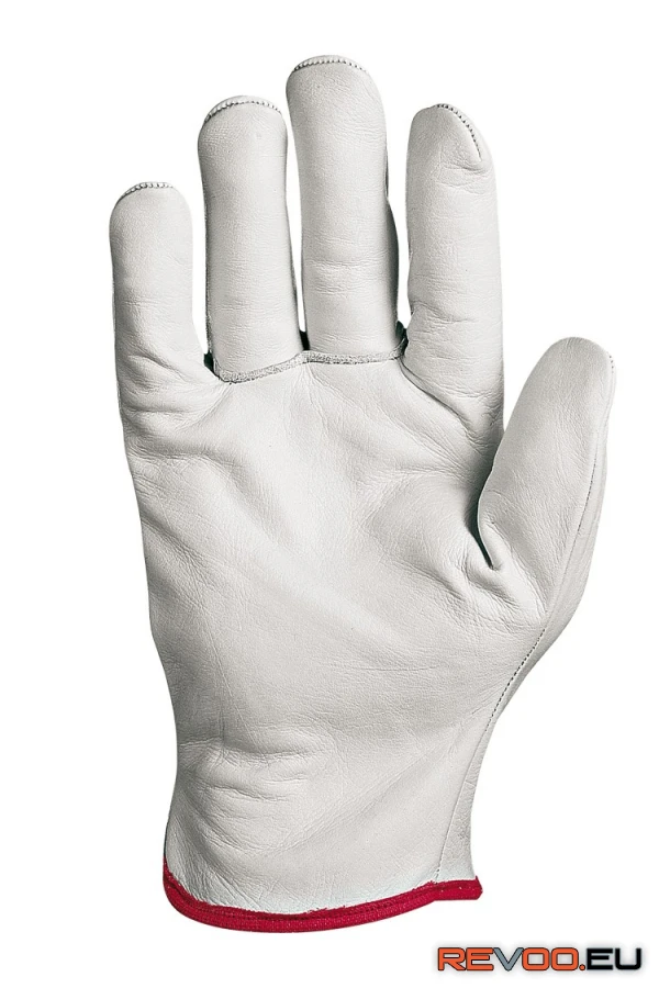 Cipro A bivalybőr kesztyű Sir Safety System SSY-MA1135K1-10 1.